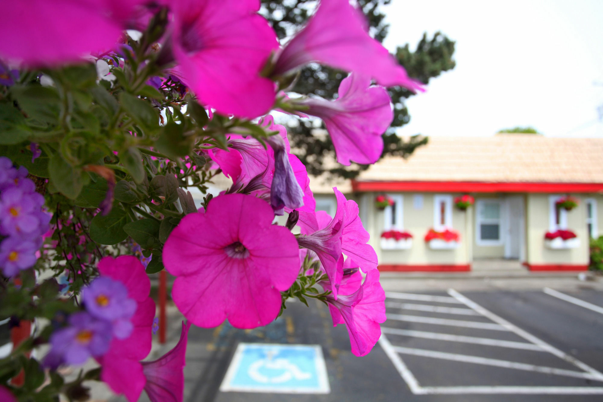 City Centre Motel By Oyo Seaside Exterior photo